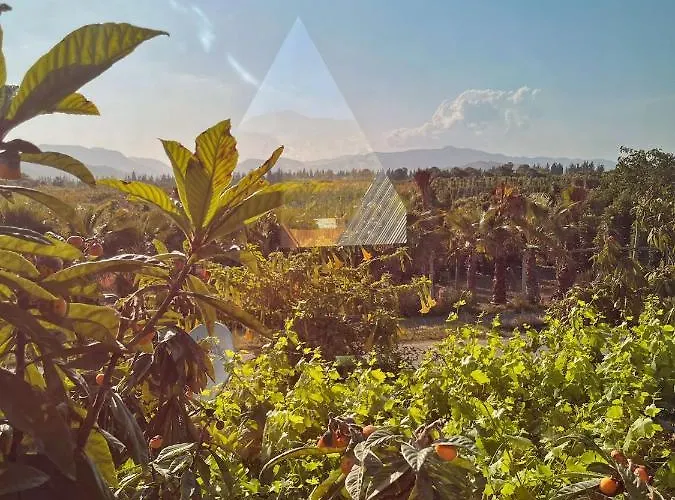 Nocleg ze śniadaniem El-ya Ve